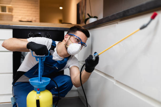 Best Rat Extermination Near Me  in Bryson City, NC