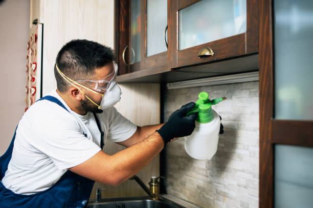 Best Pest Inspection Near Me  in Bryson City, NC