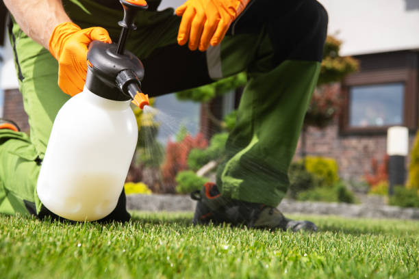 Best Best Pest Control Companies  in Bryson City, NC