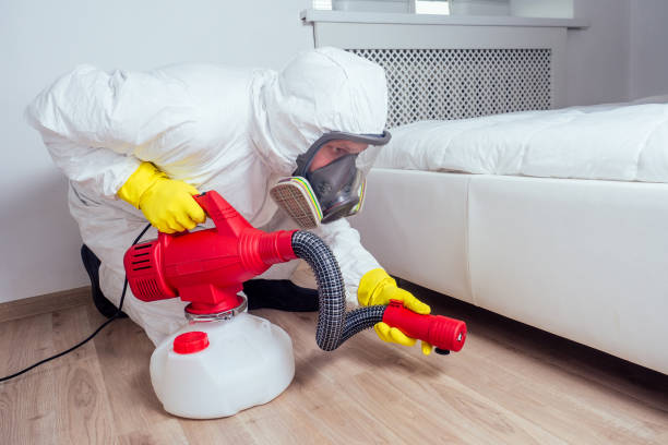 Best Flea Control Services  in Bryson City, NC