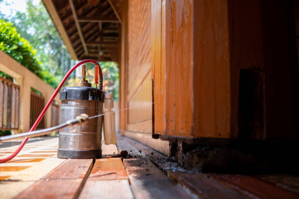 Best Termite Control Services  in Bryson City, NC